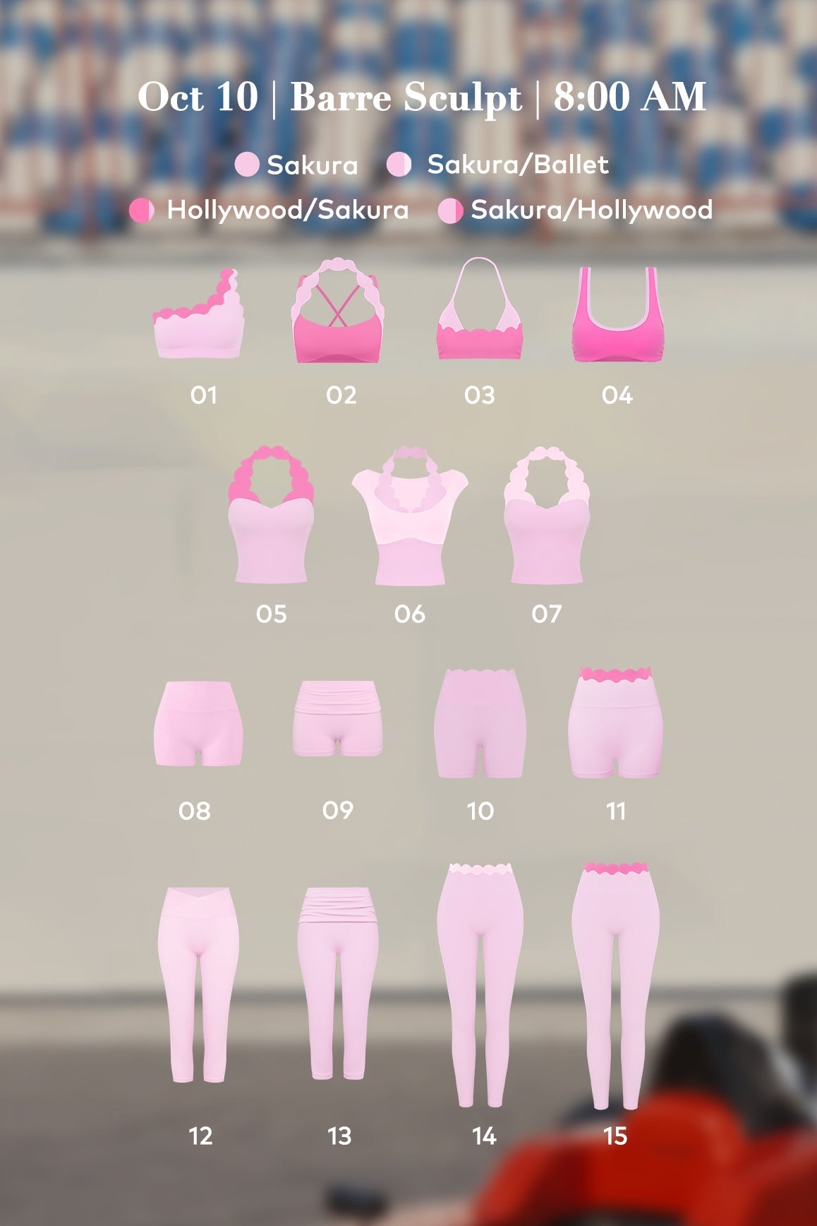 The Wellness Paddock | Wiskii Rewards Exclusive